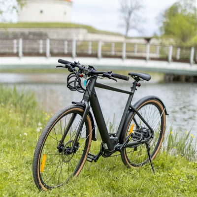 C21-Gravel-hind-SaareBike