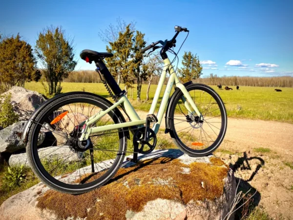 C700-Fiido-hind-Saarebike