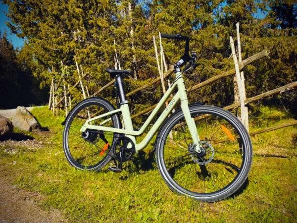 Fiido-C700-hind-Saarebike