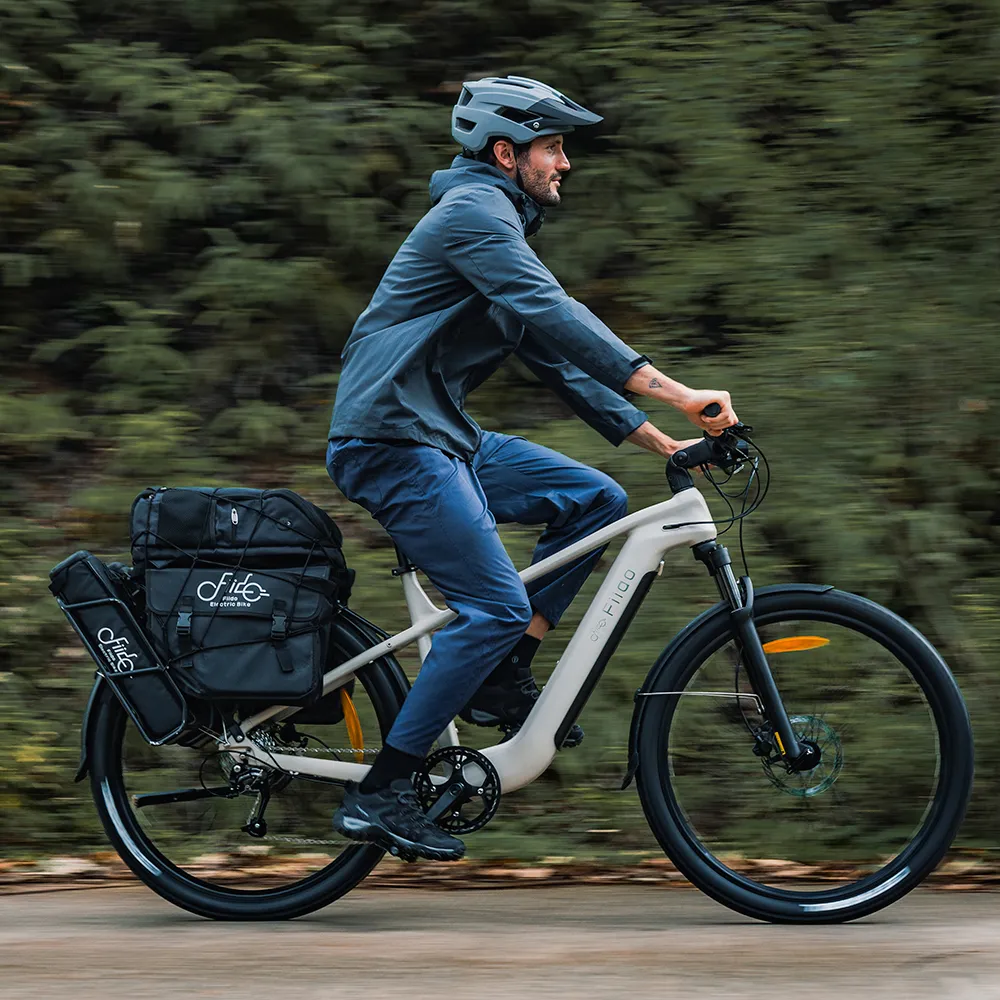 Fiido Nomads e-bike (rent) - Image 4